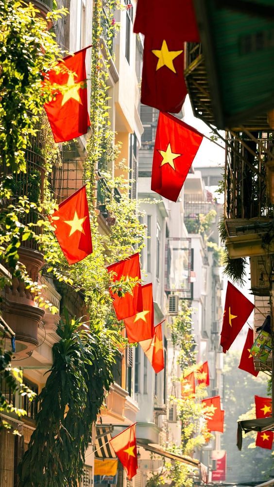 Lá cờ Việt Nam